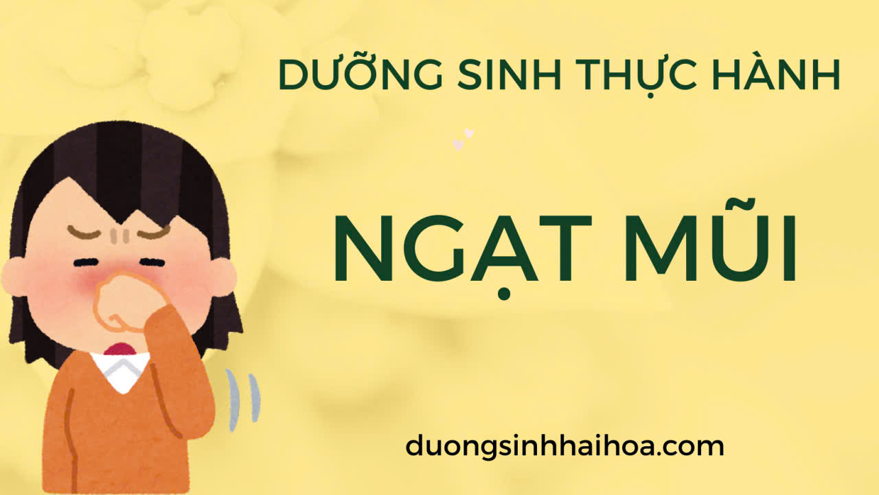 DƯỠNG SINH THỰC HÀNH:  NGẠT MŨI