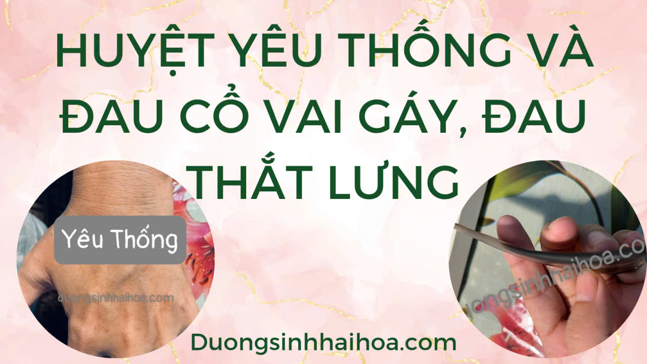 HUYỆT YÊU THỐNG VÀ ĐAU CỔ GÁY, ĐAU THẮT LƯNG