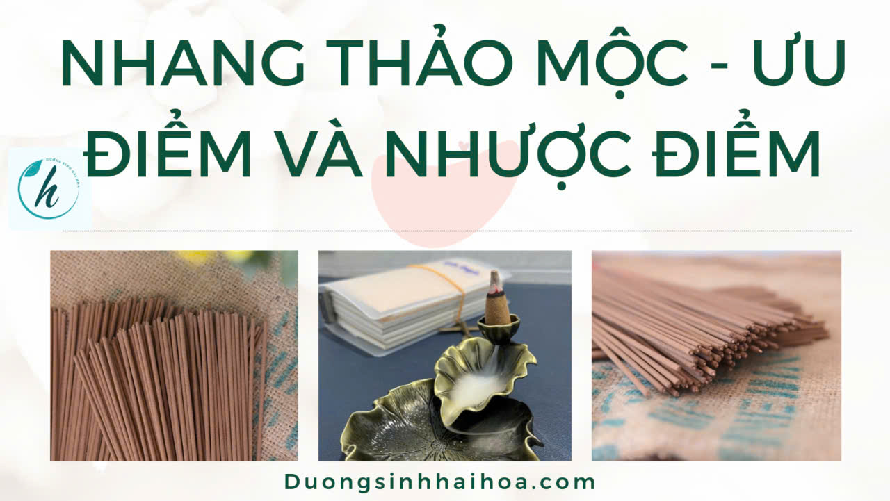 NHANG THẢO MỘC - ƯU ĐIỂM VÀ NHƯỢC ĐIỂM