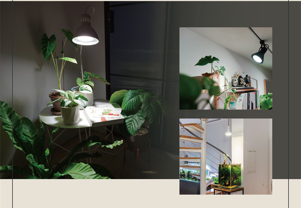 ONF - N10 Aditya Plant Light Lamp | Đèn LED trồng cây bán cạn