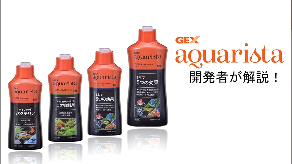 GEX - Aquarista Best Bio Premium | Vi sinh khử Nitrit và Amoniac hồ cá
