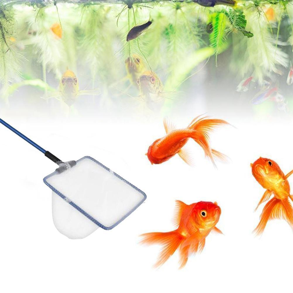 AMA - Fish Net Amazon Series | Vợt lưới vớt cá tép trong hồ thủy sinh