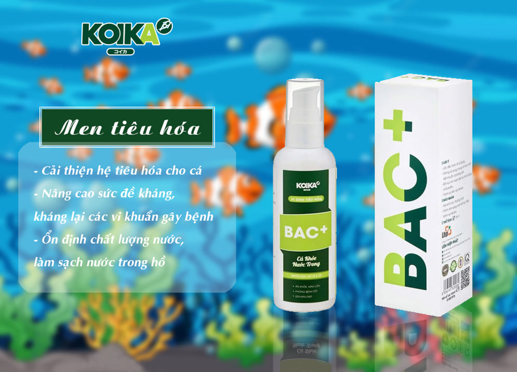 KOIKA - Men vi sinh BAC+ | Men vi sinh tiêu hóa cho cá cảnh thủy sinh