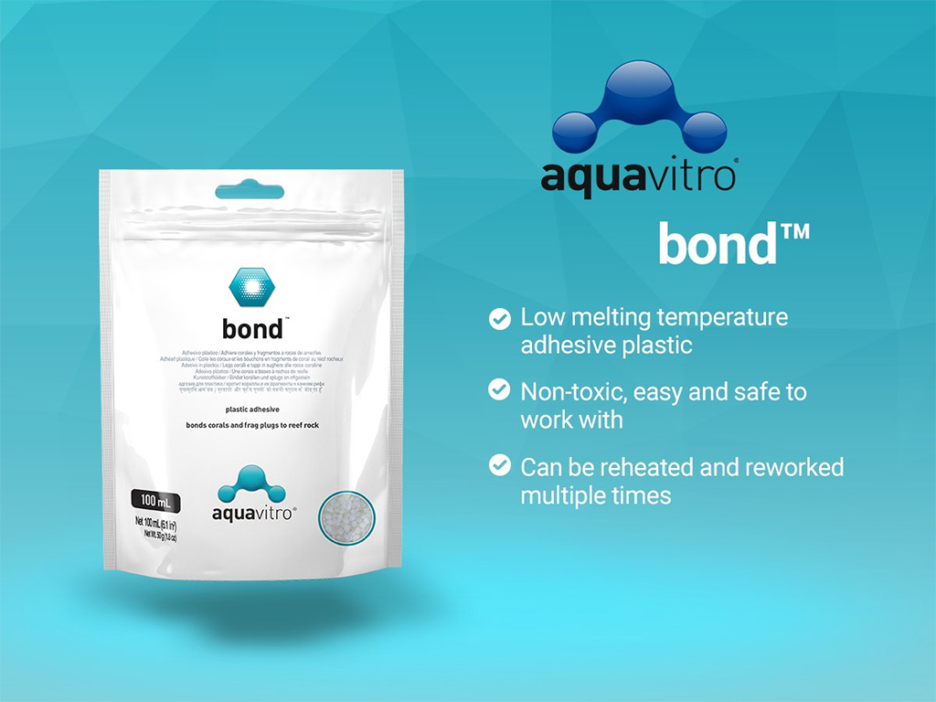 AQUAVITRO - Bond | Keo dán san hô an toàn cho hồ cá biển