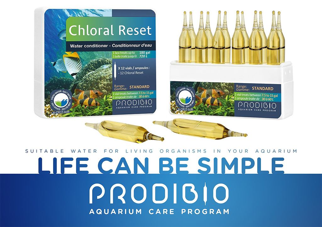 PRODIBIO -  Chloral Reset | Khử Clo, giảm stress cho cá cảnh thủy sinh