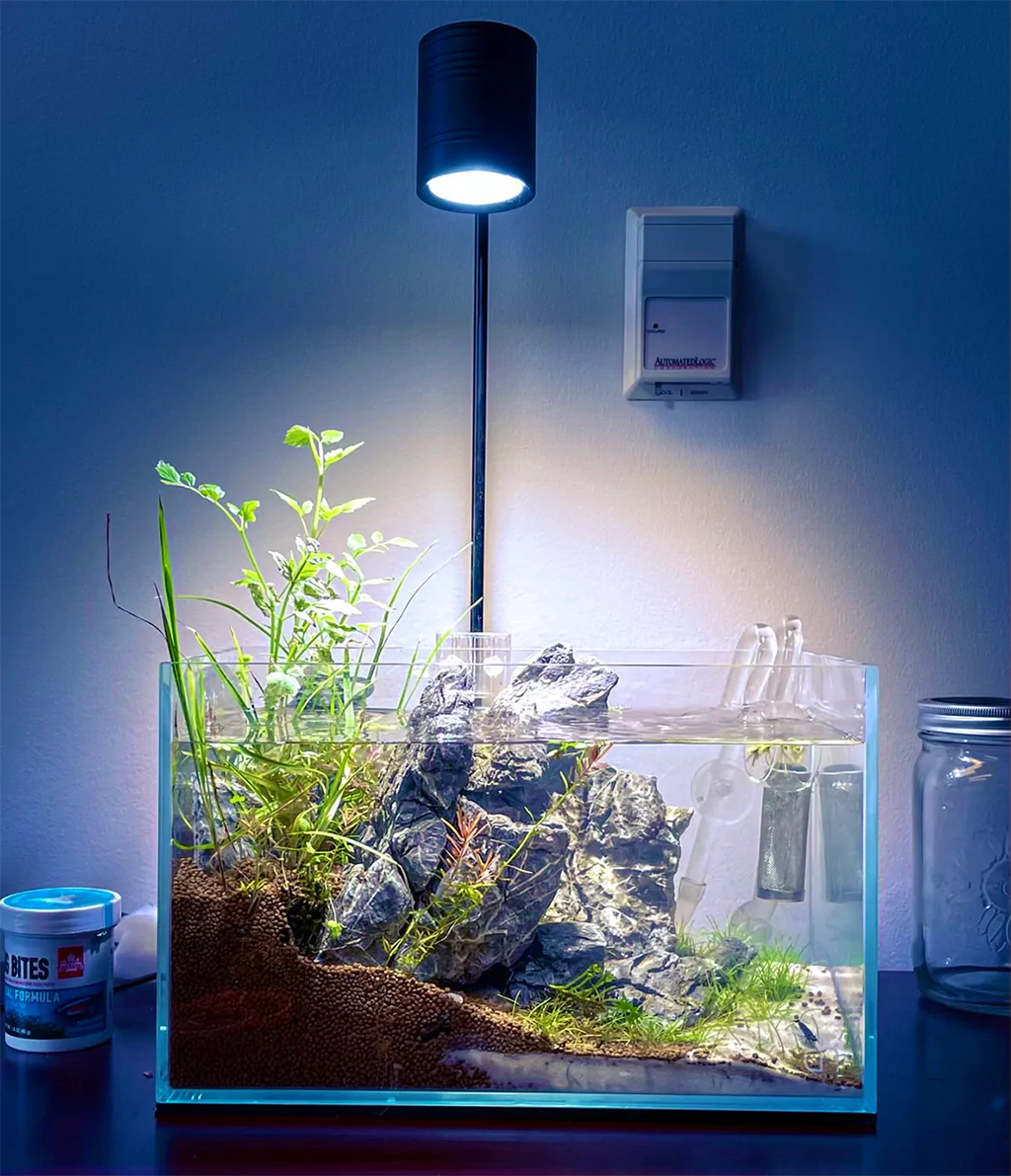 KAOKUI - Mini Spotlight (KK-F01) | Đèn LED rọi 3 chế độ cho hồ Biotop