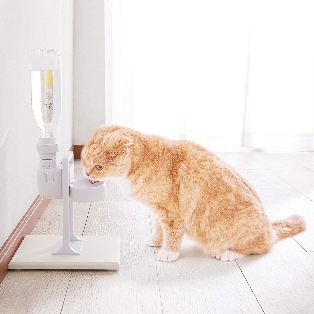 GEX - Pure Crystal Drink Bowl For Cat | Khay nước tự động cho mèo