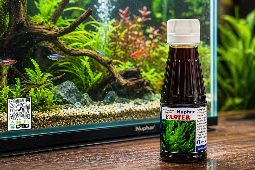 NUPHAR - Faster | Phân nước kích thích tăng trưởng cho cây thủy sinh