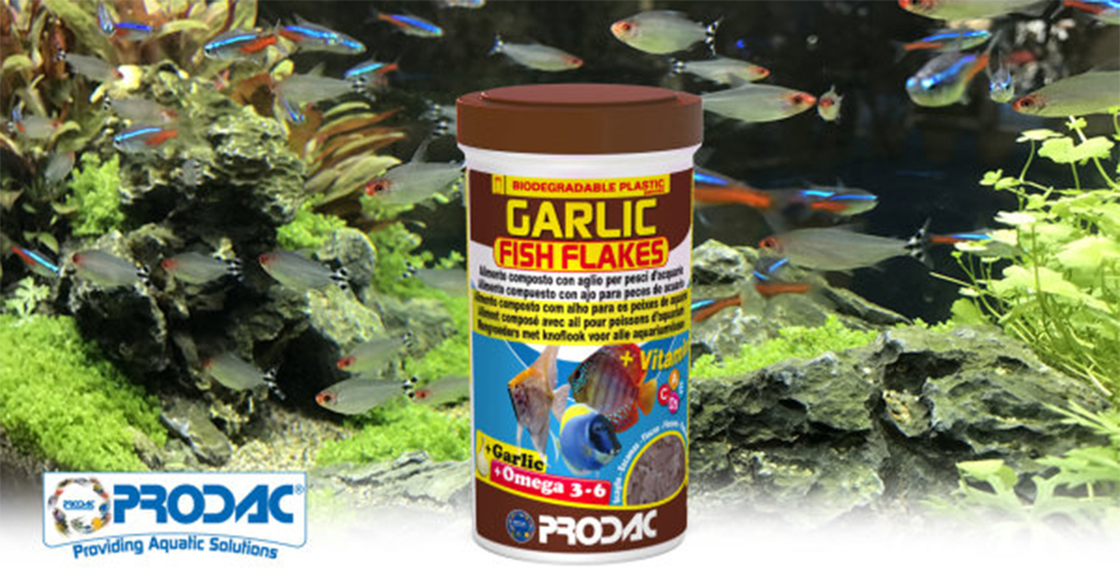 PRODAC - Garlic Fish Flakes | Thức ăn chứa tinh chất tỏi cho cá cảnh