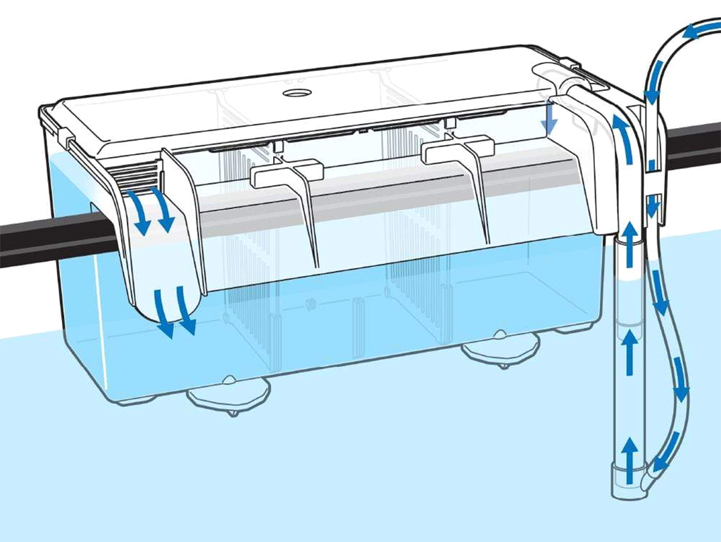 ISTA - Hang-On Separation Box | Lồng dưỡng cá tép trong hồ thủy sinh