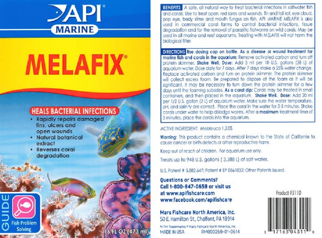 API - Marine Melafix | Trị nấm ký sinh cá san hô trong hồ cá nước mặn
