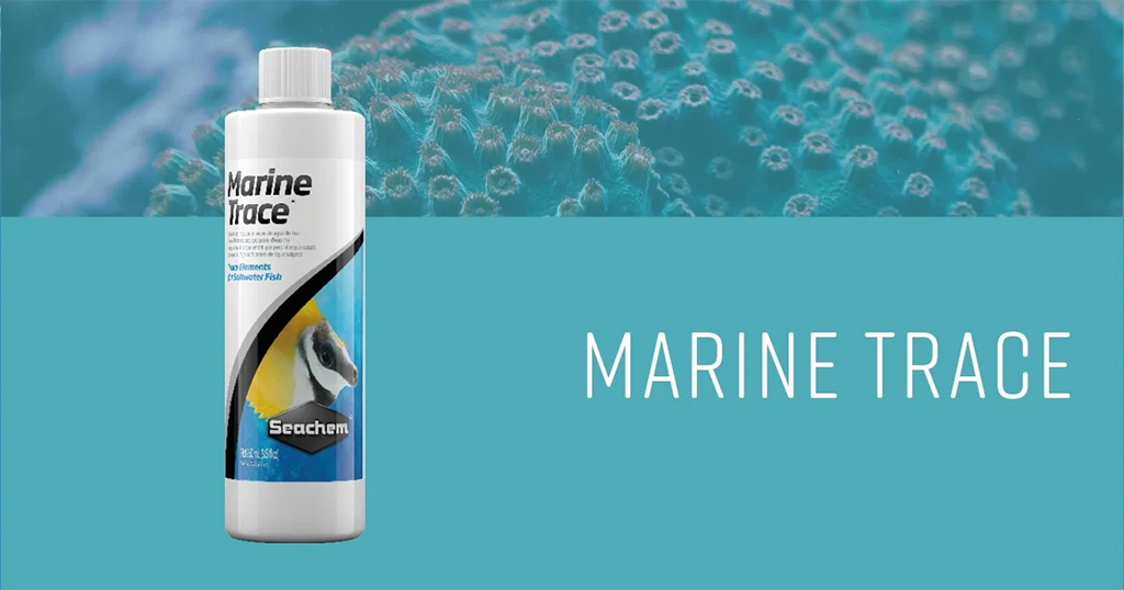 SEACHEM - Marine Trace | Bổ sung khoáng, các chất vi lượng cho cá biển