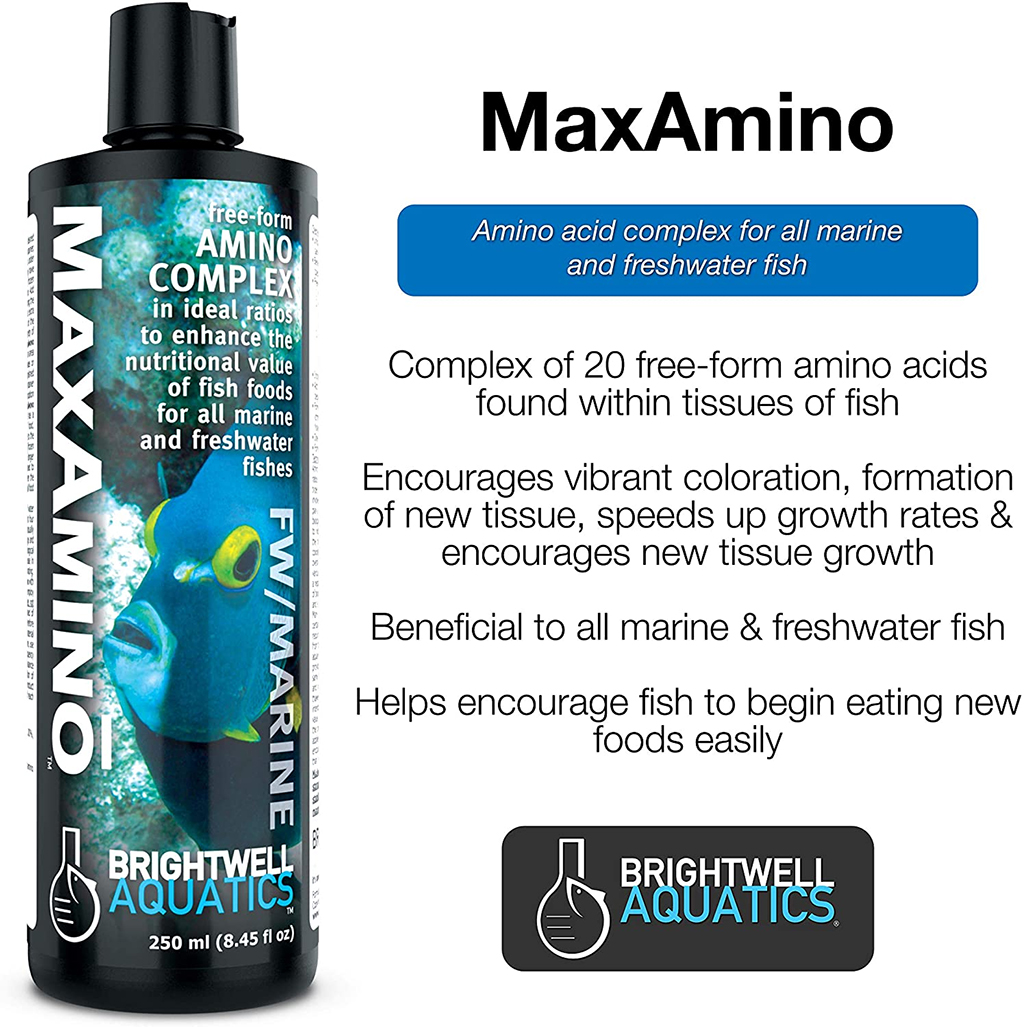 BRIGHTWELL AQUATICS - MaxAmino | Bổ sung 20 loại Axit Amin cho cá cảnh