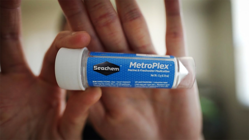 SEACHEM - MetroPlex | Trị ký sinh trùng cho cá cảnh thủy sinh