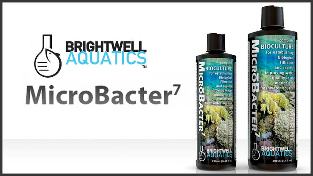 BRIGHTWELL AQUATICS - MicroBacter 7 | Vi sinh khử Nitơ, PO4 hồ cá biển