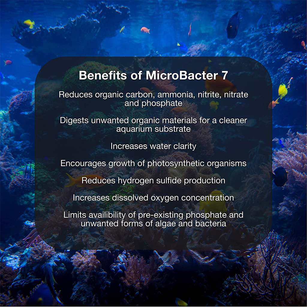 BRIGHTWELL AQUATICS - MicroBacter 7 | Vi sinh khử Nitơ, PO4 hồ cá biển