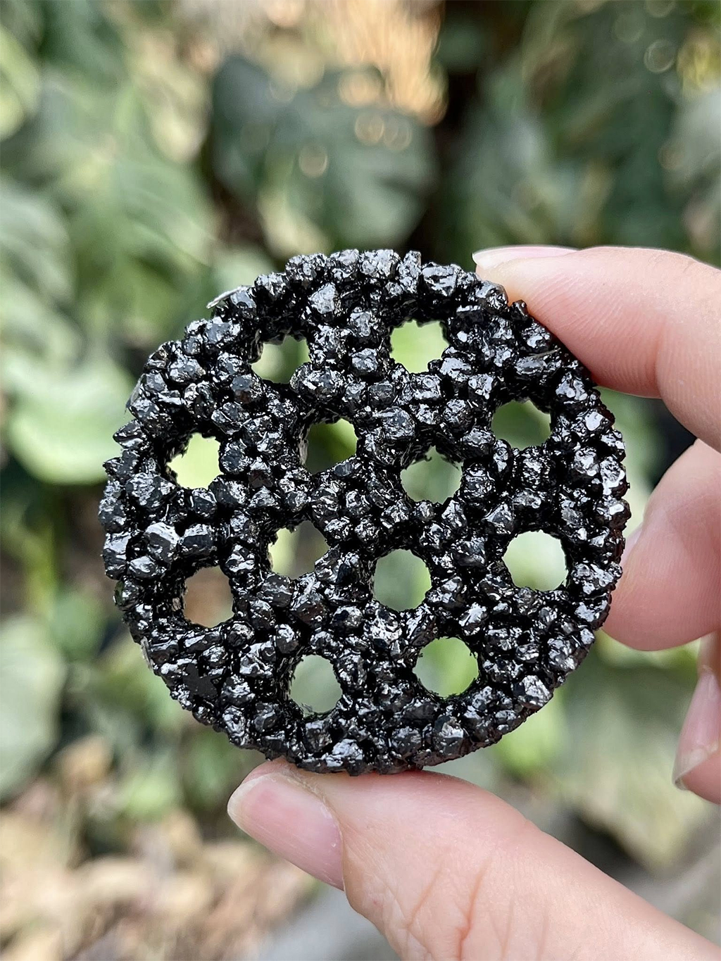 THỦY MỘC - Napad Tổ Ong Tròn | Giá thể cho cây, rêu, ráy thủy sinh