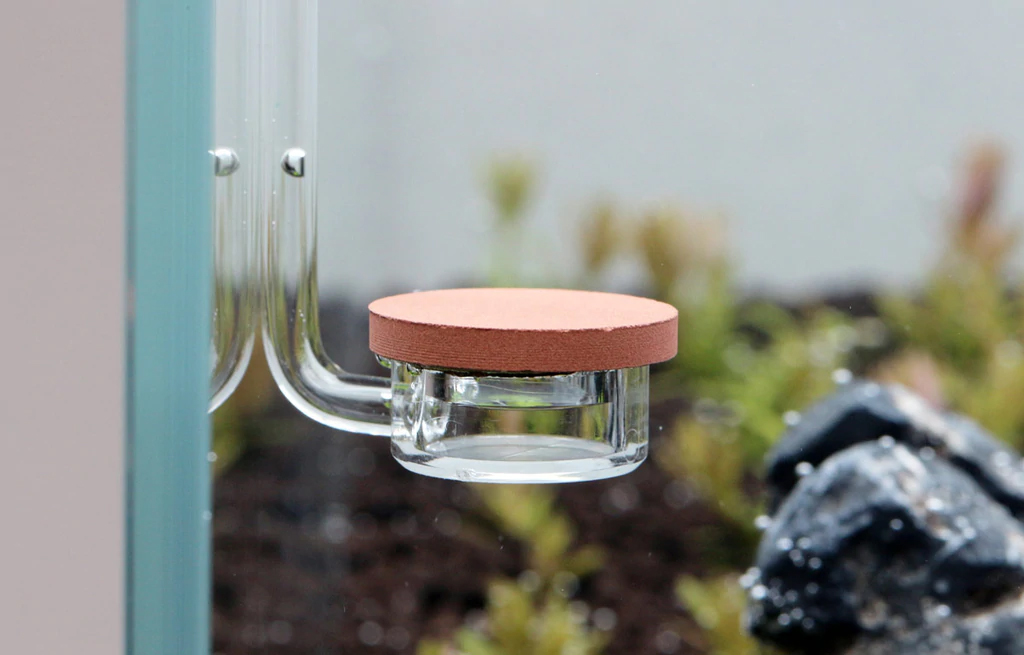 Aquario Neo Diffuser Special Cốc Sủi Co2 Sieu Mịn Cho Hồ Thủy Sinh Greendeal Vn Aquario Neo Diffuser Special Cốc Sủi Co2 Sieu Mịn Cho Hồ Thủy Sinh Greendeal Vn