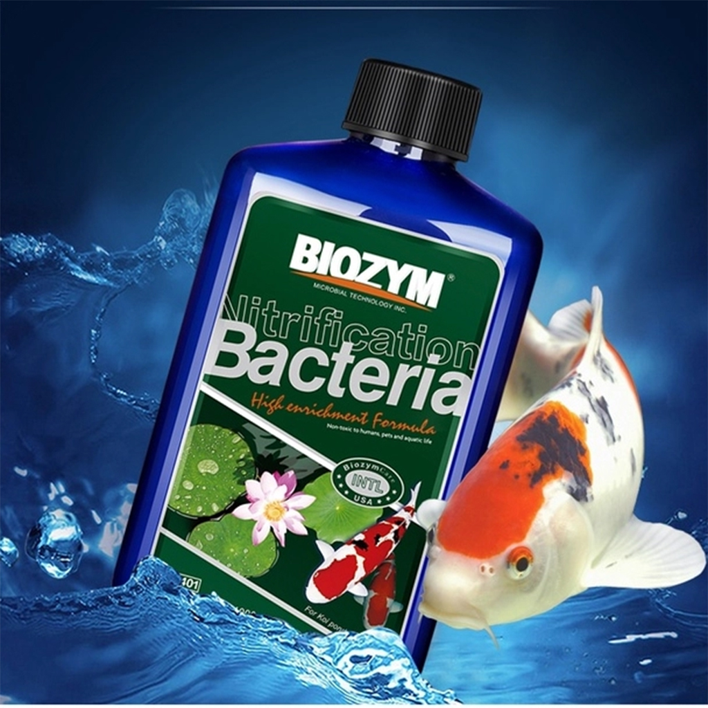 BIOZYM - Nitrifying Bacteria (Koi Tanks & Ponds) | Vi sinh cho ao hồ