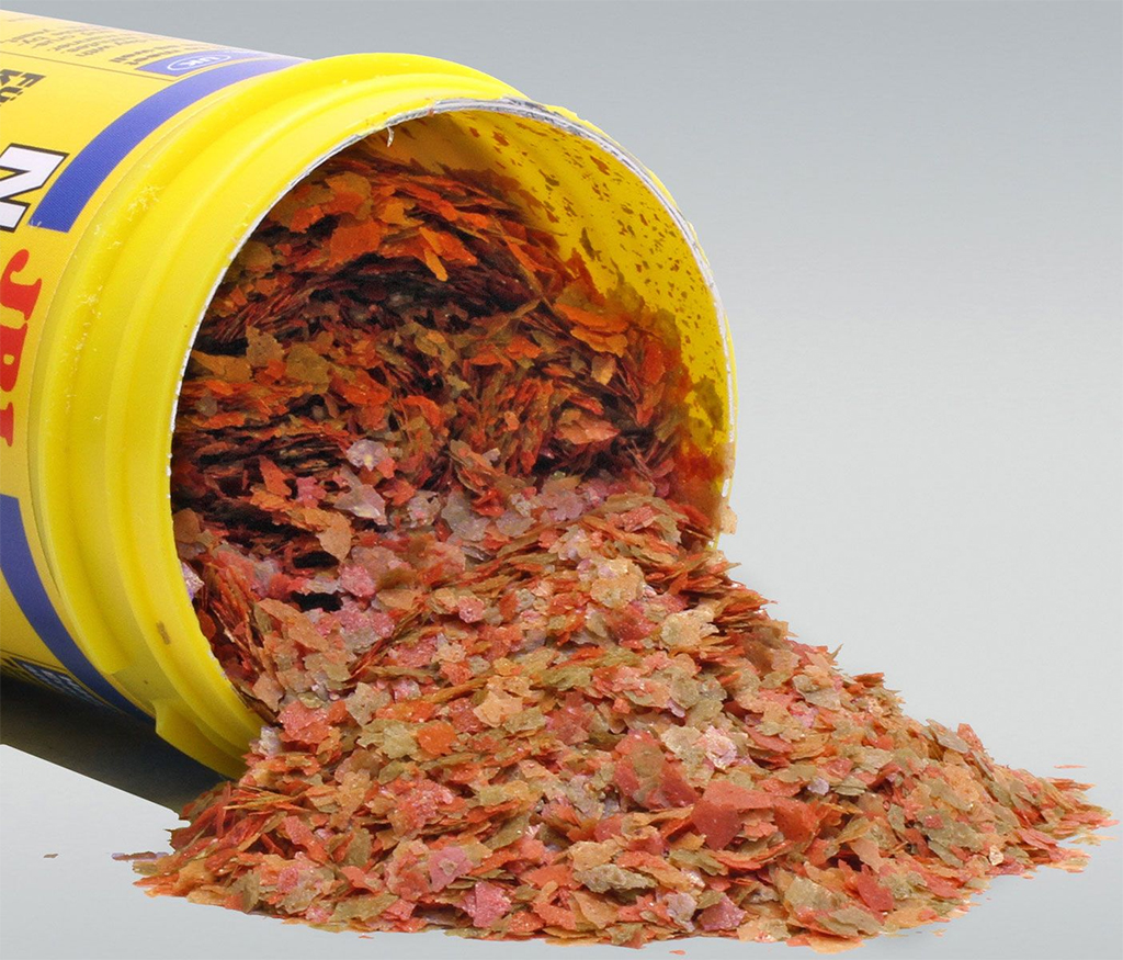 JBL - Novo Betta | Thức ăn cao cấp cho cá Betta