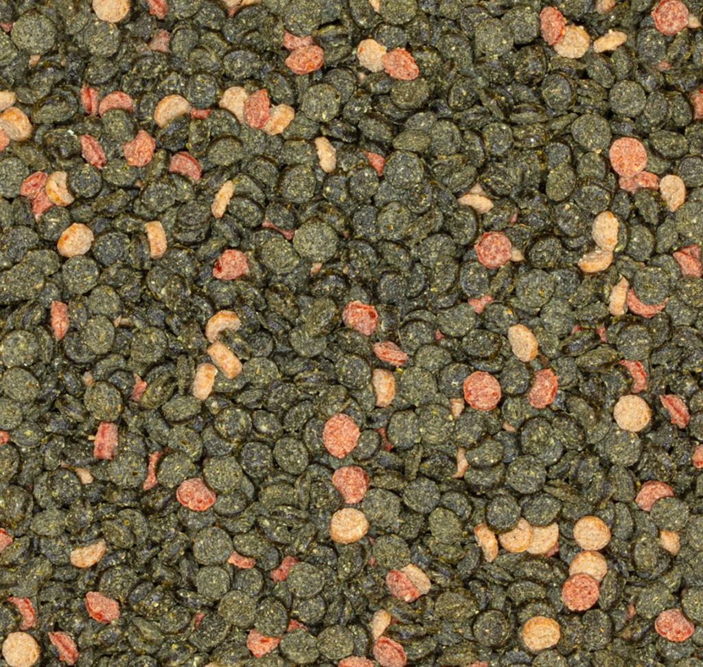 JBL ProNovo - Malawi Grano M | Thức ăn hạt khô cho cá Cichlid ăn cỏ