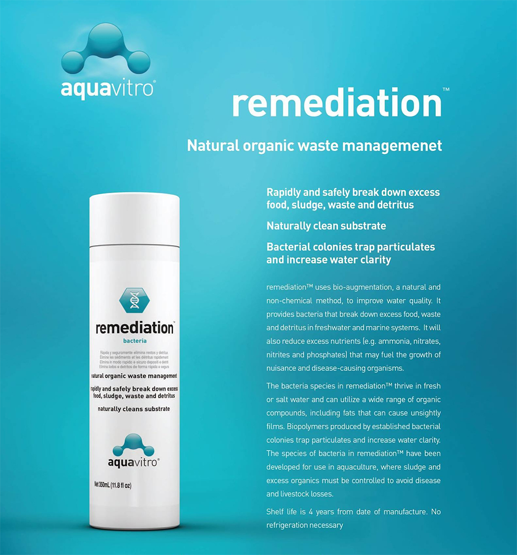 AQUAVITRO - Remediation | Vi sinh phân hủy cặn hồ cá biển thủy sinh