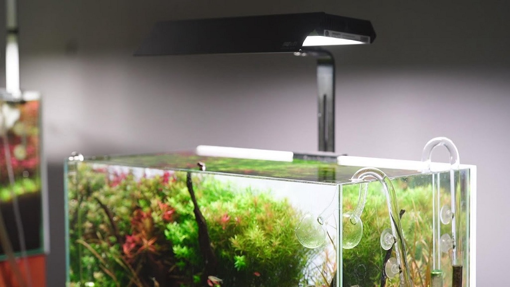 CHIHIROS - LED RGB Vivid Mini | Đèn trồng cây thủy sinh trong hồ cá cảnh
