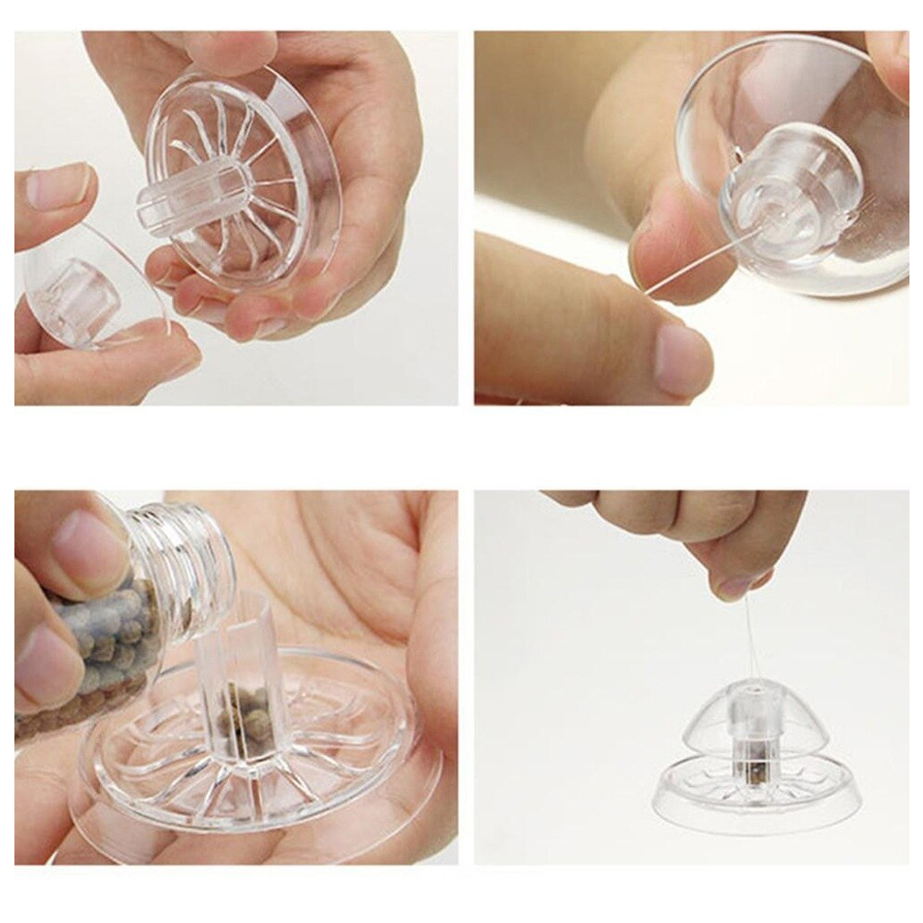 ISTA - Snail Trap | Bẫy các loại ốc hại trong hồ thủy sinh