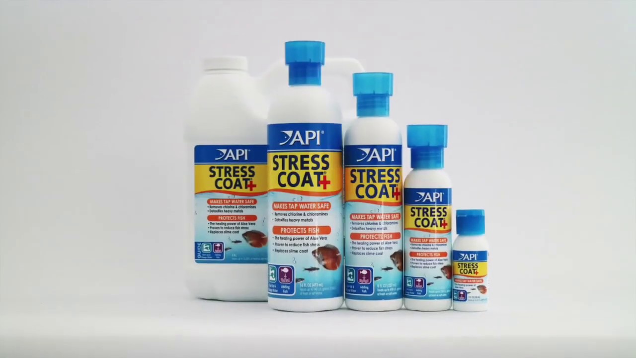 API - Stress Coat+ | Thần dược cho cá cảnh hồ thủy sinh