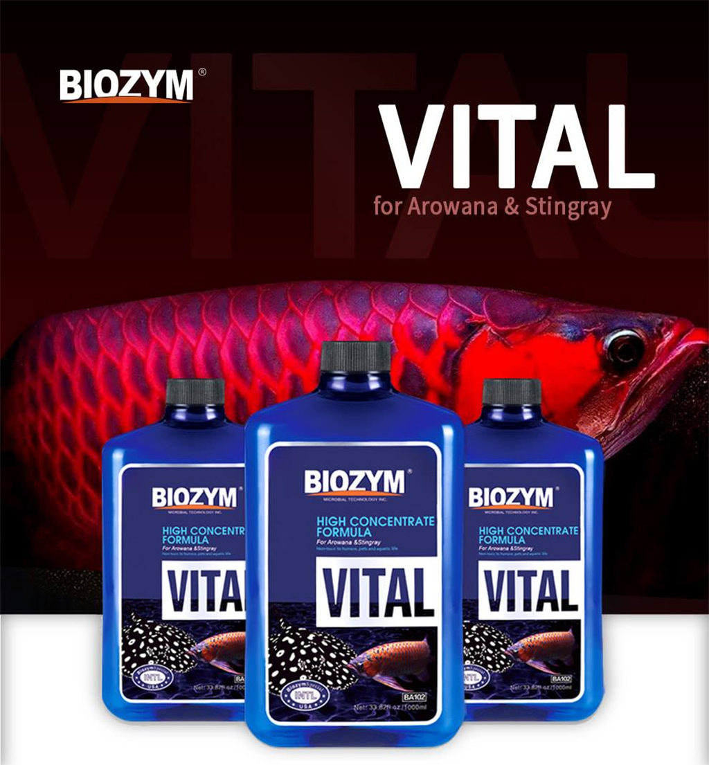 BIOZYM - Vital (Arowana & Stingray) | Bổ sung Vitamin cho cá Rồng