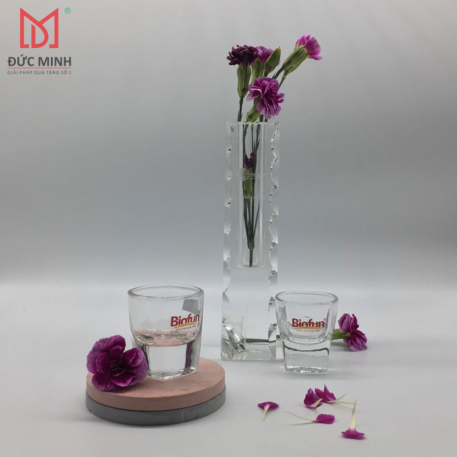 Bọ qùa tặng lọ cốc