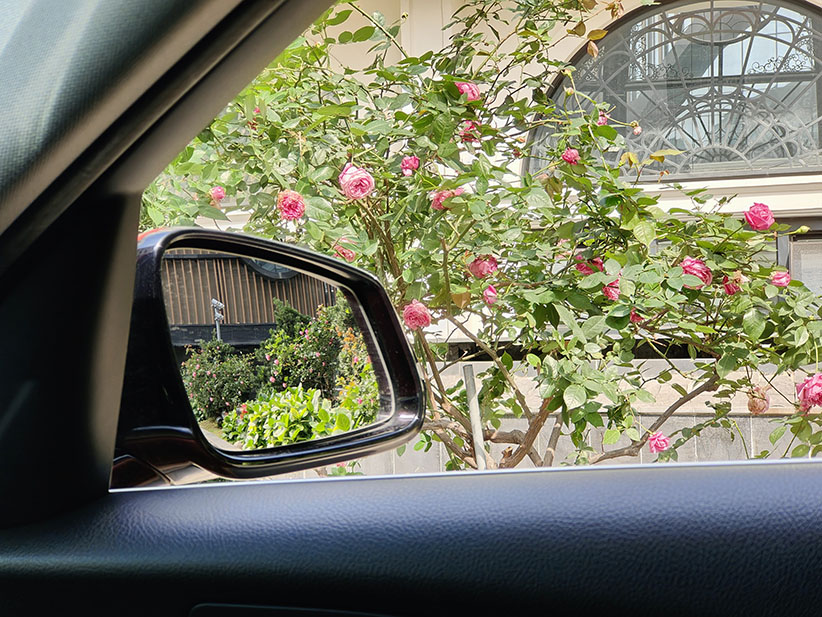 BMW 118i 2019 (Màu cam/nội thất đen)