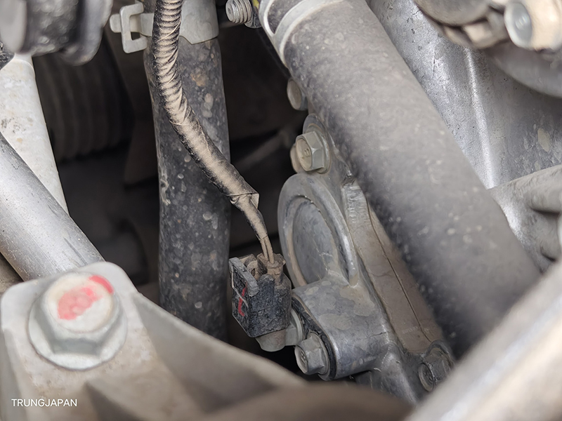 KIA CARNIVAL 3.5 2021 (Máy xăng)