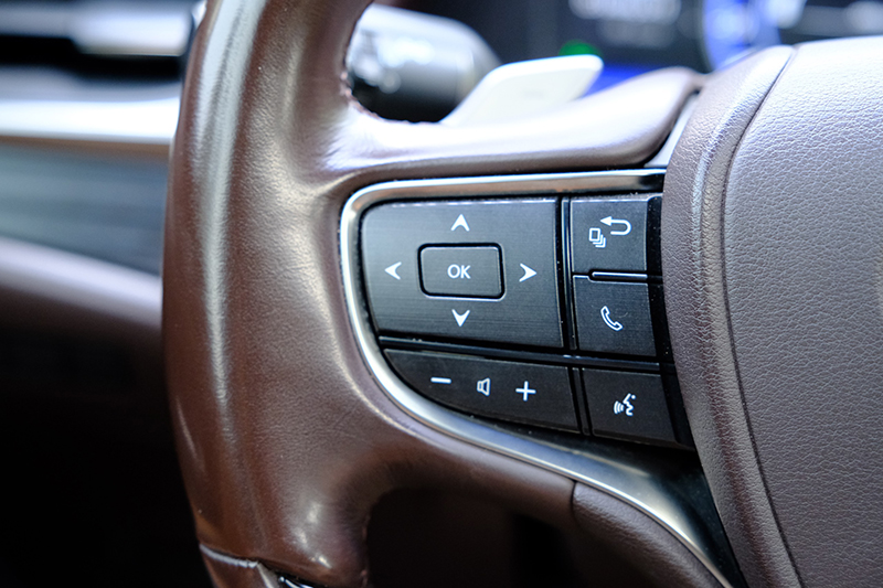 𝐋𝐞𝐱𝐮𝐬 𝐄𝐒𝟐𝟓𝟎 𝟐𝟎𝟐𝟎 𝐭𝐫𝐚̆́𝐧𝐠/𝐧𝐨̣̂𝐢 𝐭𝐡𝐚̂́𝐭 𝐧𝐚̂𝐮