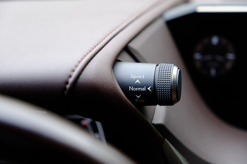 𝐋𝐞𝐱𝐮𝐬 𝐄𝐒𝟐𝟓𝟎 𝟐𝟎𝟐𝟎 𝐭𝐫𝐚̆́𝐧𝐠/𝐧𝐨̣̂𝐢 𝐭𝐡𝐚̂́𝐭 𝐧𝐚̂𝐮