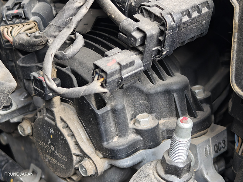 KIA CARNIVAL 3.5 2021 (Máy xăng)