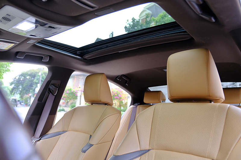 𝐋𝐞𝐱𝐮𝐬 𝐄𝐒𝟐𝟓𝟎 𝟐𝟎𝟐𝟎 𝐭𝐫𝐚̆́𝐧𝐠/𝐧𝐨̣̂𝐢 𝐭𝐡𝐚̂́𝐭 𝐧𝐚̂𝐮