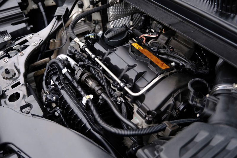 𝐁𝐌𝐖 𝟐 𝐒𝐞𝐫𝐢𝐞𝐬 𝟐𝟏𝟖𝐢 𝐀𝐜𝐭𝐢𝐯𝐞 𝐓𝐨𝐮𝐫𝐞𝐫 - 𝟐𝟎𝟏𝟗  (𝐓𝐫𝐚̆́𝐧𝐠 | 𝐍𝐨̣̂𝐢 𝐭𝐡𝐚̂́𝐭 𝐊𝐞𝐦)