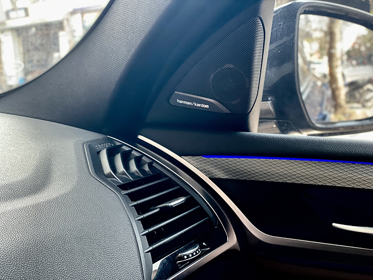 BMW X4 2020 (Xanh/nội thất Đen)