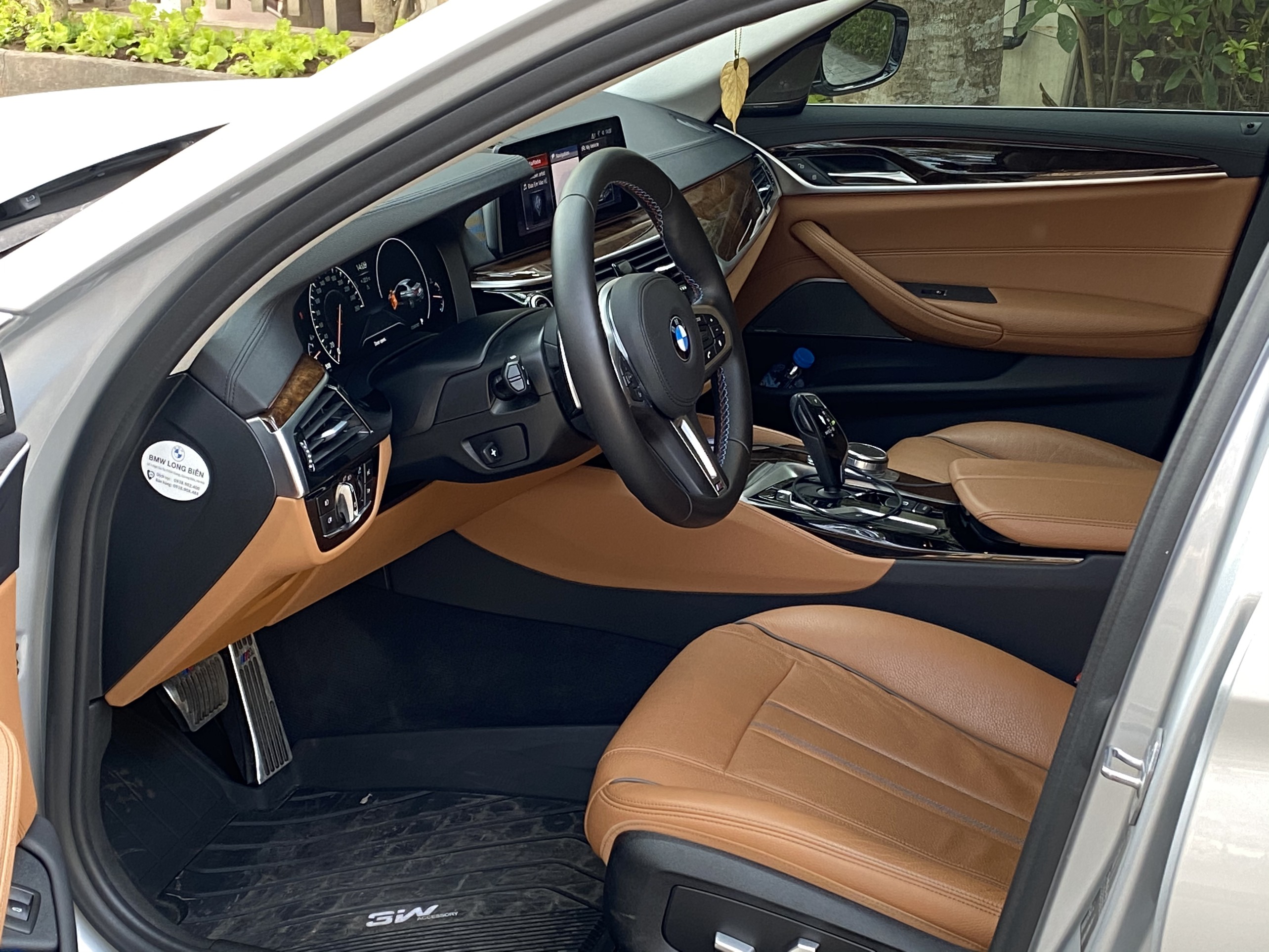 BMW 530i Luxury Line 2019