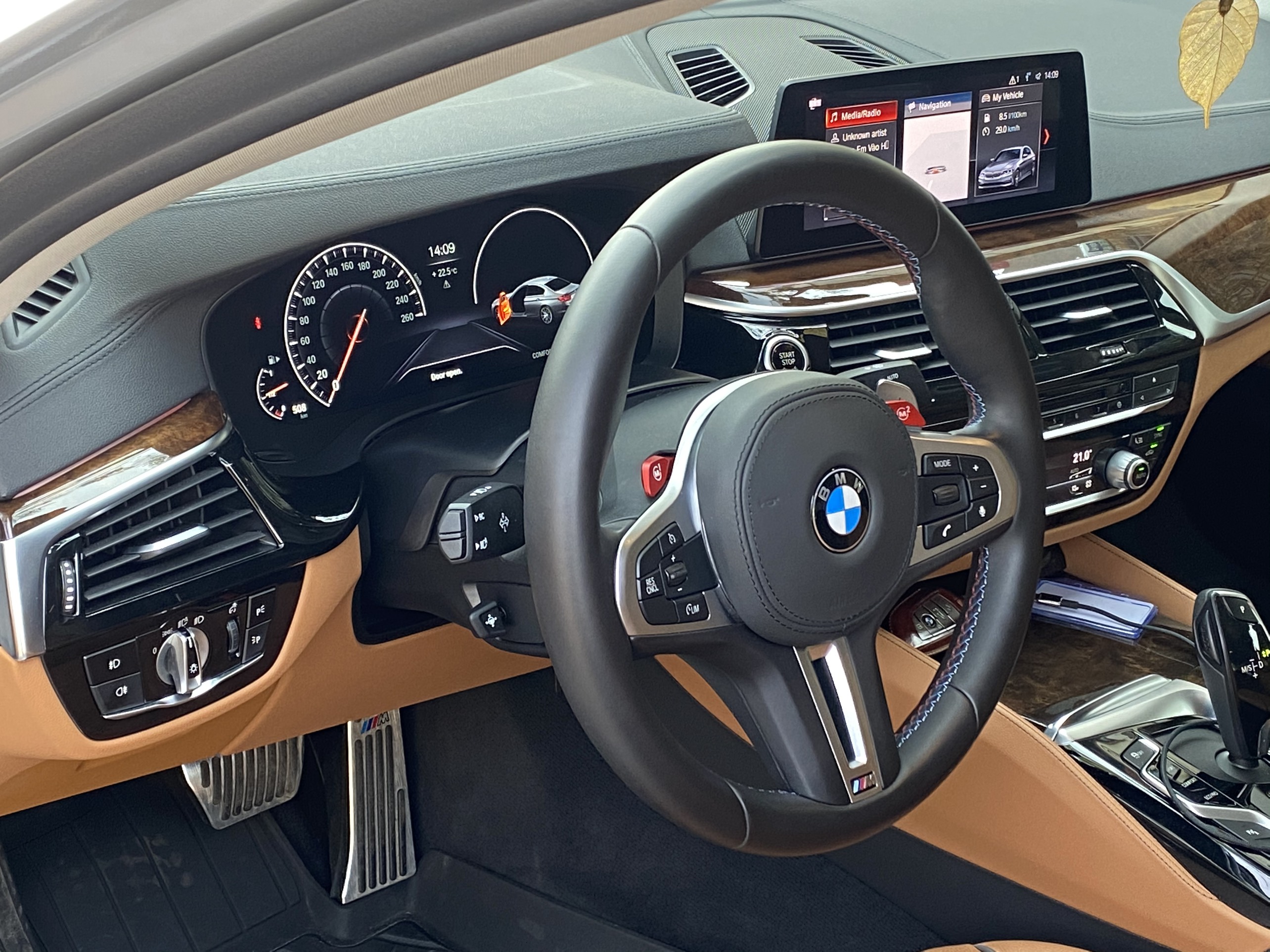 BMW 530i Luxury Line 2019