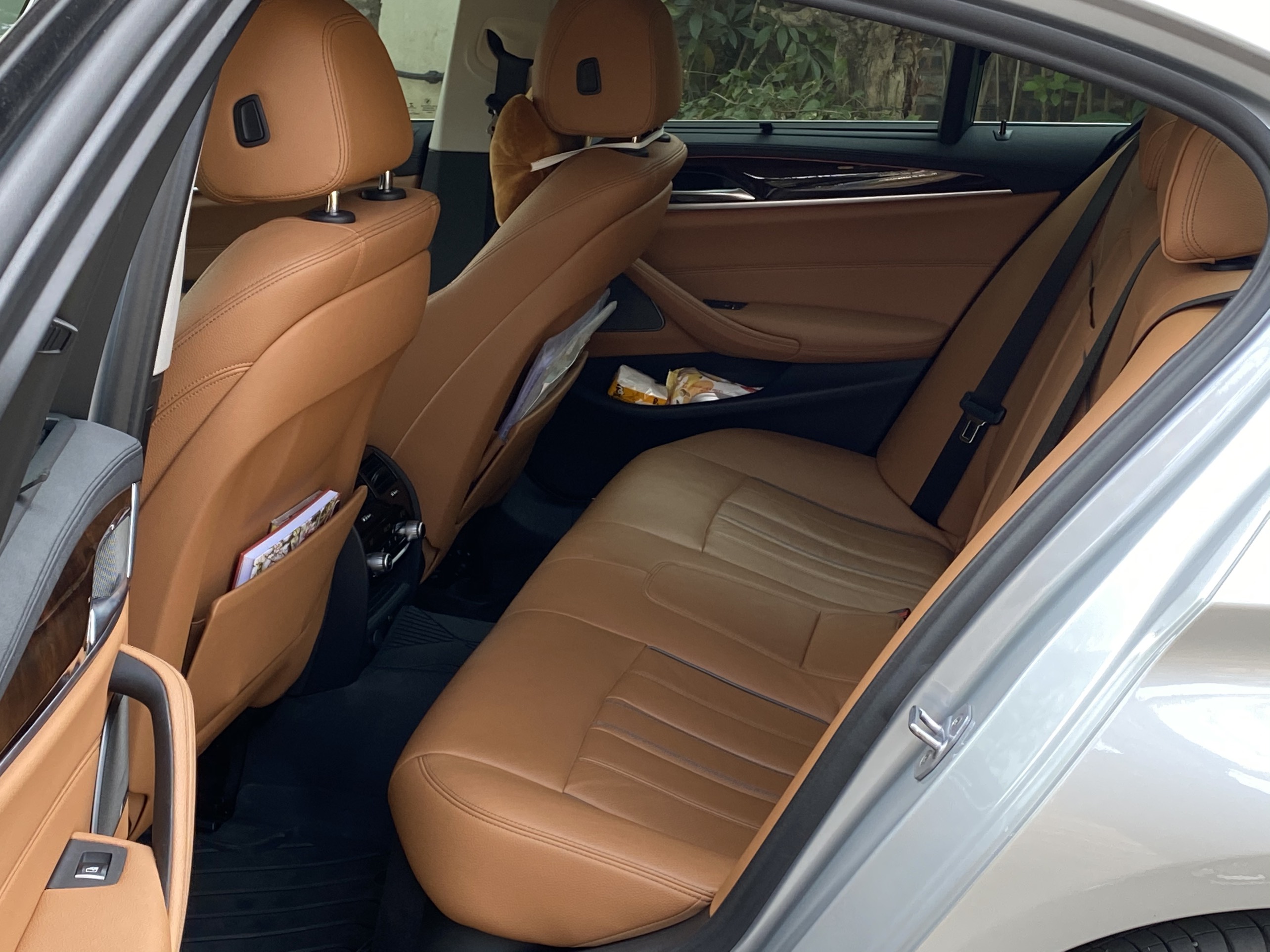 BMW 530i Luxury Line 2019