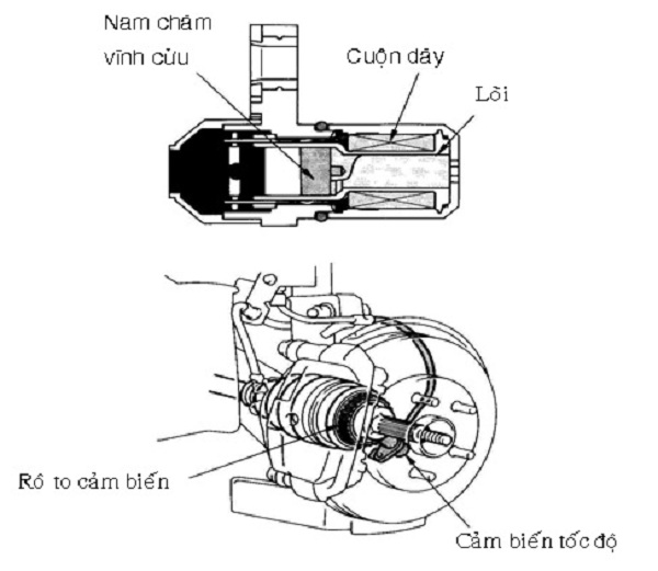 Nguyên Lý Và Cấu Tạo Cảm Biến Tốc Độ Bánh Xe