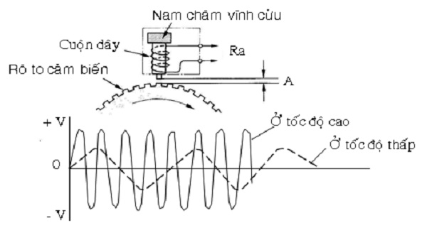 Nguyên Lý Và Cấu Tạo Cảm Biến Tốc Độ Bánh Xe