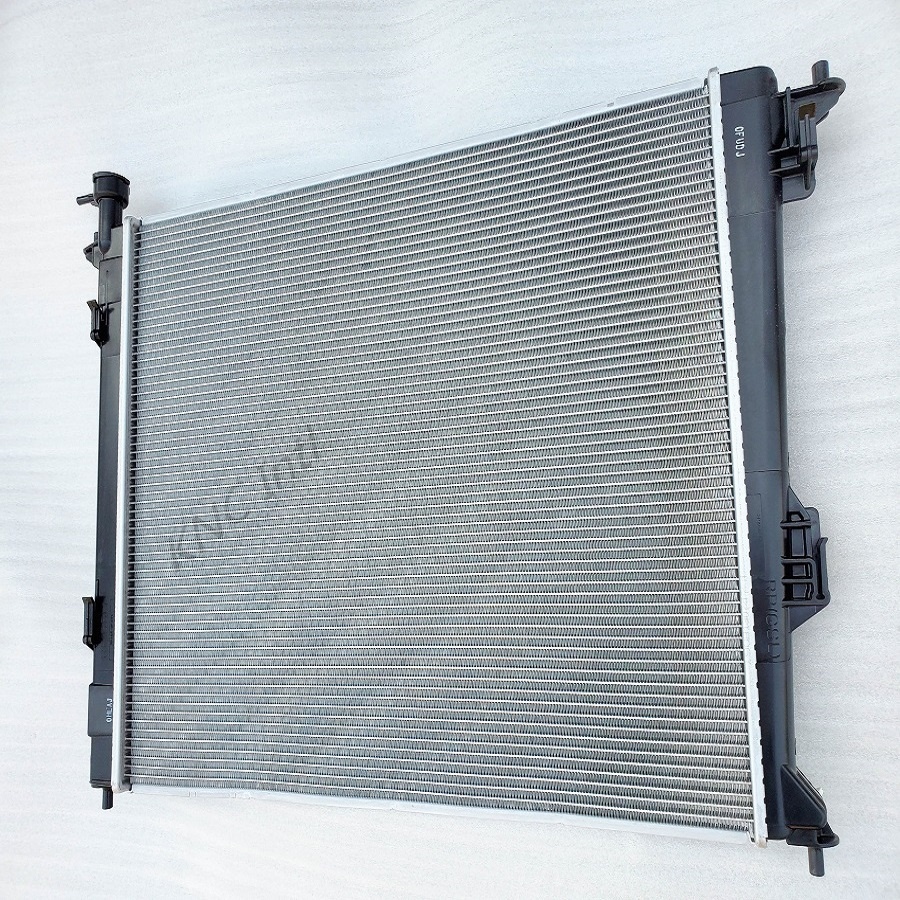 Két nước Kia Carens 25310A4000