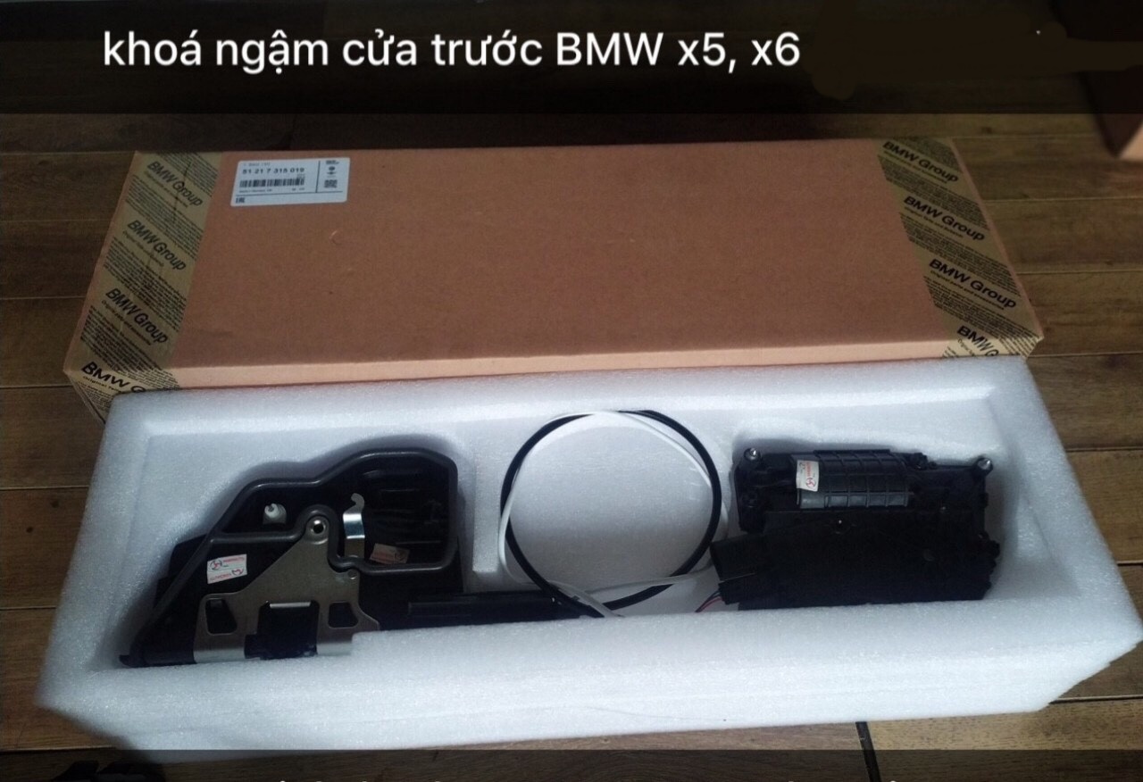 Khóa ngậm cửa xe BMW X6