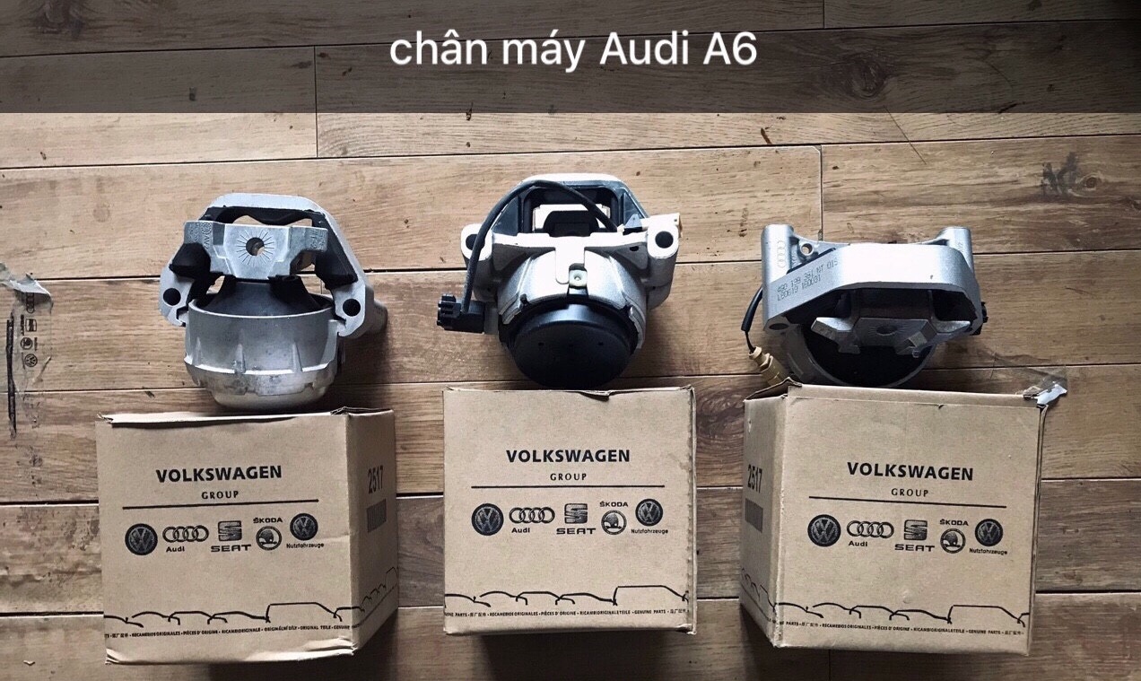 Bộ chân máy xe Audi A6