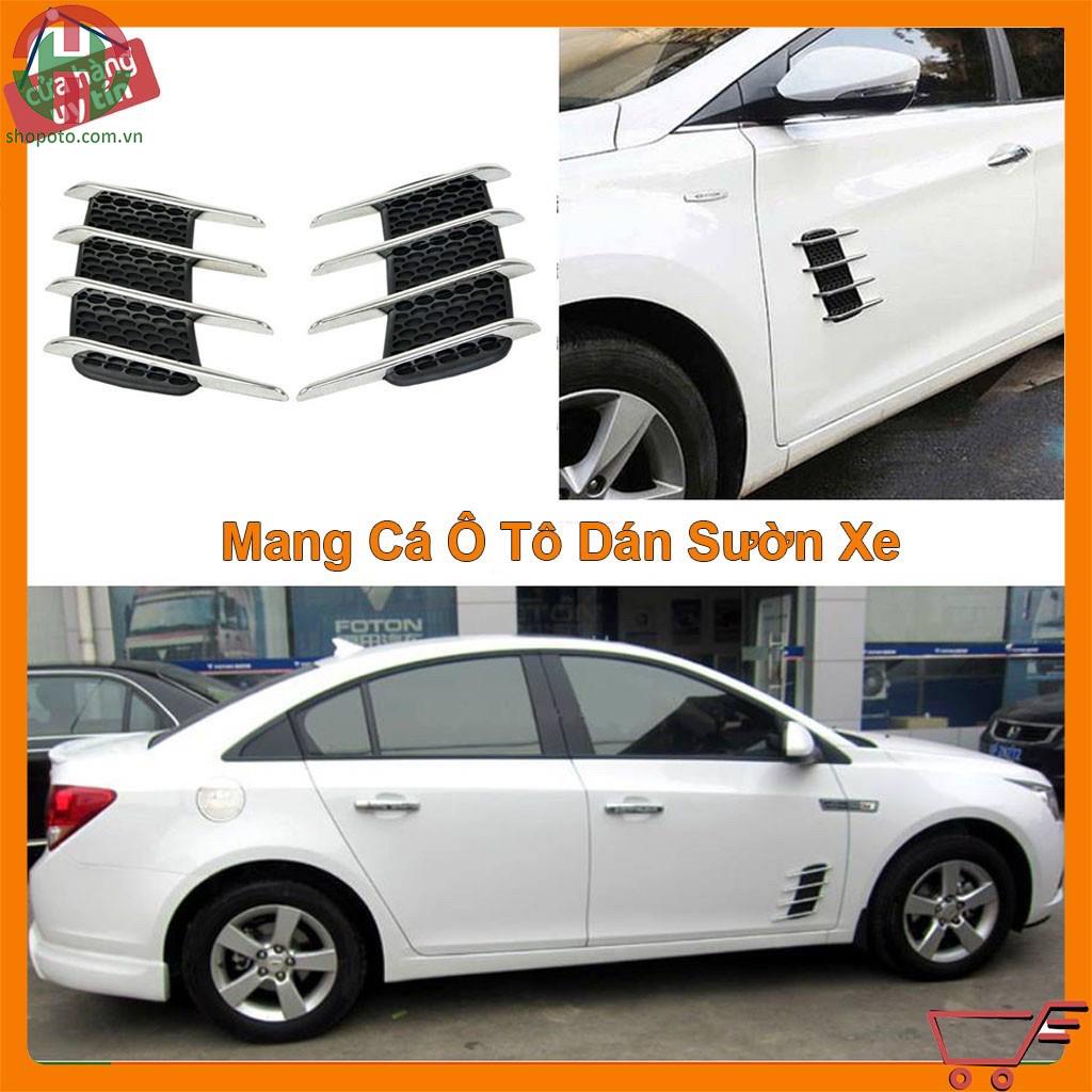Ốp mang cá sườn & cánh cửa xe ô tô