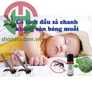 Tinh dầu chống chuột Tâm An