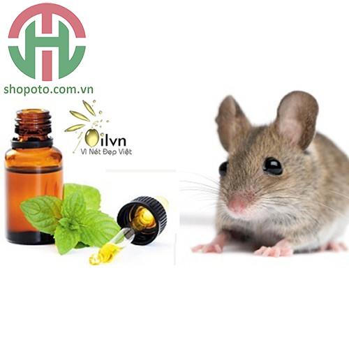 Tinh dầu chống chuột Tâm An